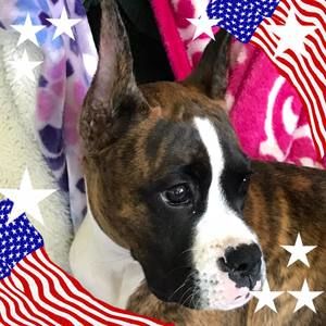 Meet your Posher, Debra